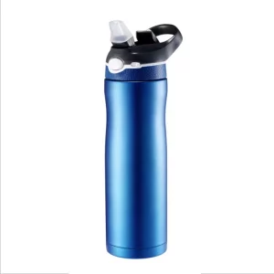 Contigo AUTOSPOUT Straw Ashland Chill Stainless Steel Water Bottle 20 oz Very Berry