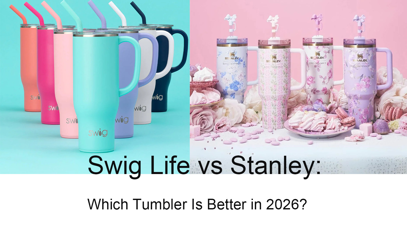 Swig Life vs Stanley tumbler