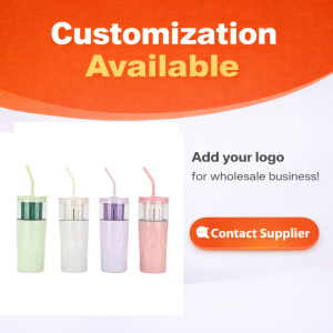 Tea Infuser Water Bottle Set Glass Bottle with Straw and Lid